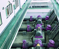 华体会hth体育在线